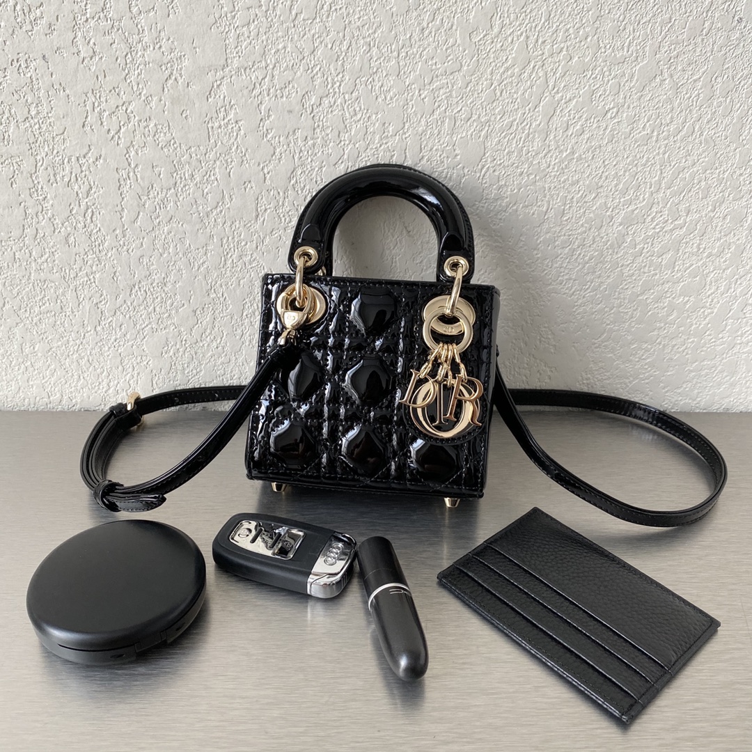 1704686447.4612bFUTFQCkqcMICRO LADY DIOR BAG  S0856 5.jpg