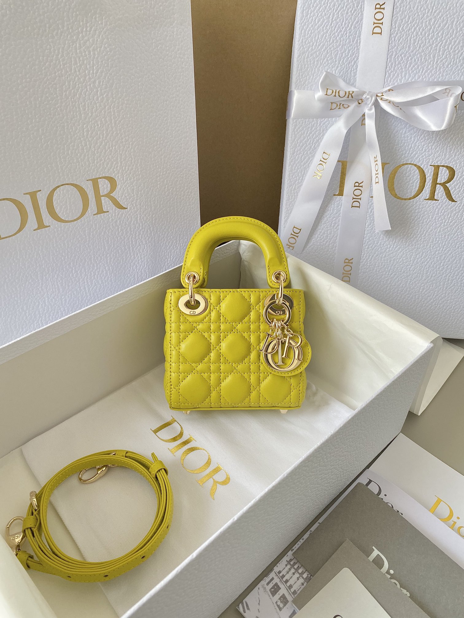 1704780274.7951rnnvYyhUbGMICRO LADY DIOR BAG  S0856ONGE_M32Y 16.jpg