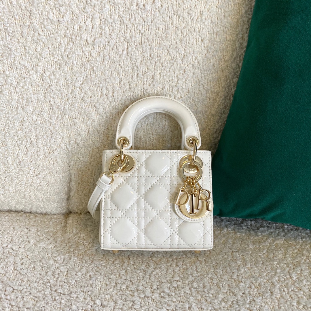 1704780317.4006qKkXkJxEgkMICRO LADY DIOR BAG  S0856 7.jpg