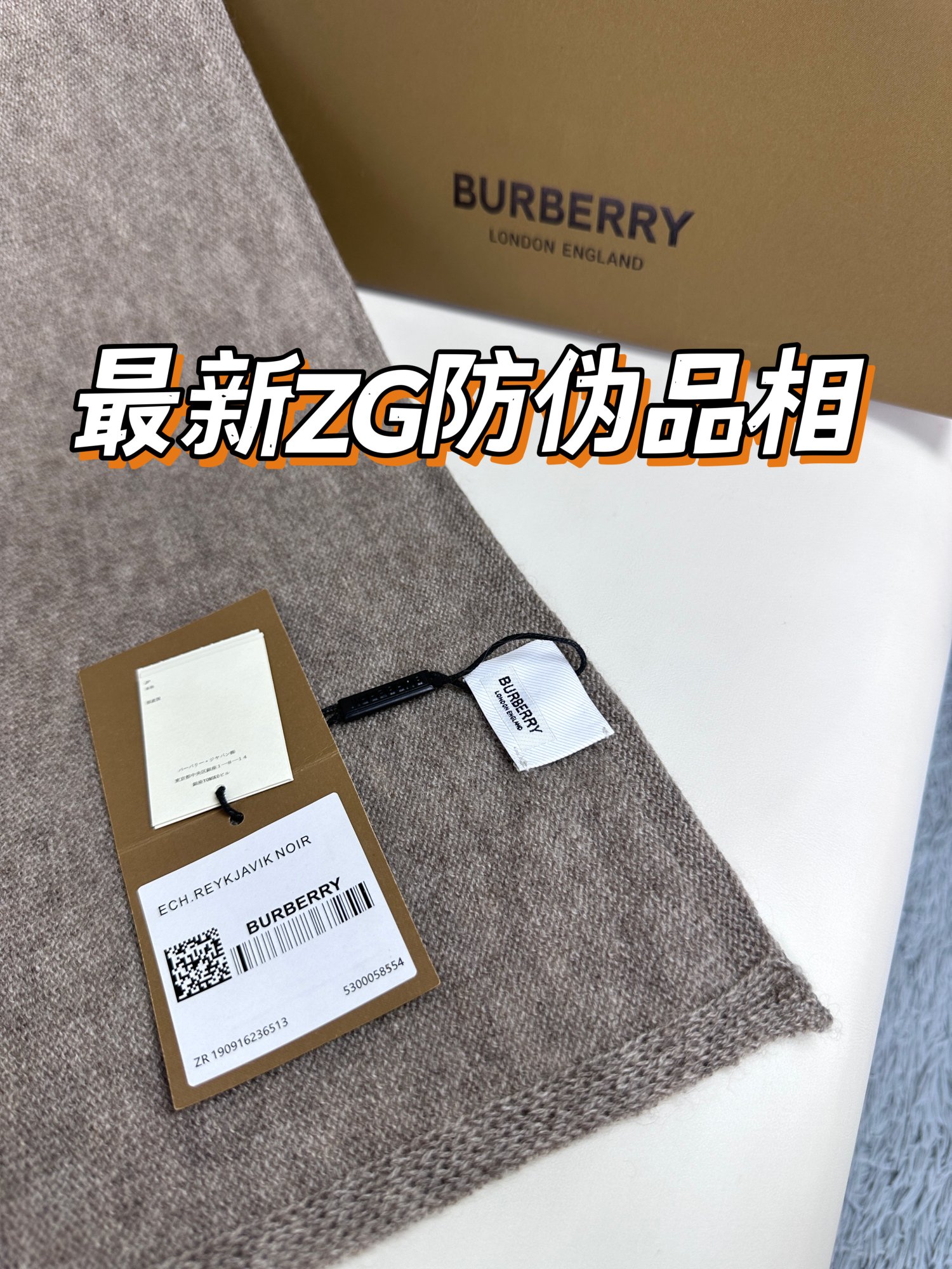 1705412000.5621UILcBgRjbxBurberry  8.jpg