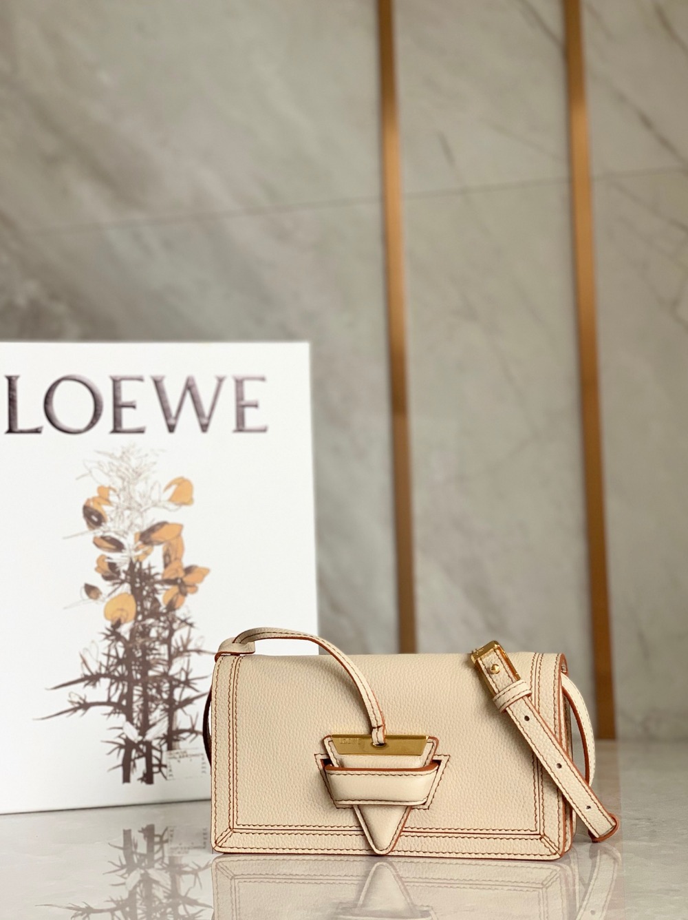 로에베 Loewe 크로스 백 19CM